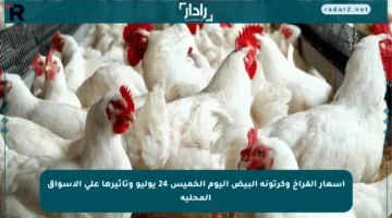 أسعار الفراخ وكرتونة البيض اليوم الخميس 24 يوليو وتأثيرها على الأسواق المحلية